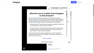 Instagram - Scraping Services