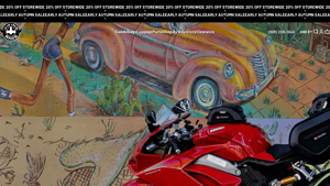 VikingBags - Street/Sportbike Luggage Solutions