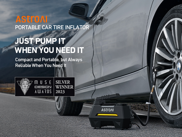 An application scenario or product detail of auto air inflator - Image 22