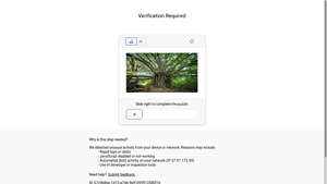 AutoBlog - Cordless Inflator