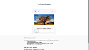 Autoblog - Tire Inflator