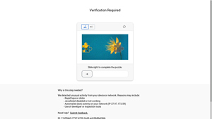 Autoblog - Portable Tire Inflator