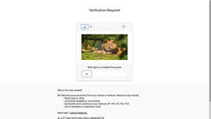 Nexpow - Portable Tire Inflator