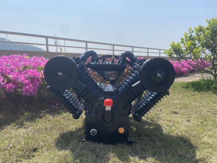 An application scenario or product detail of bomba de aire - Image 2