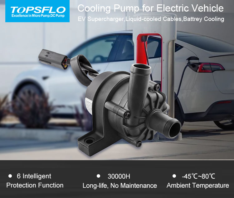 An application scenario or product detail of electric pump for car - Image 17