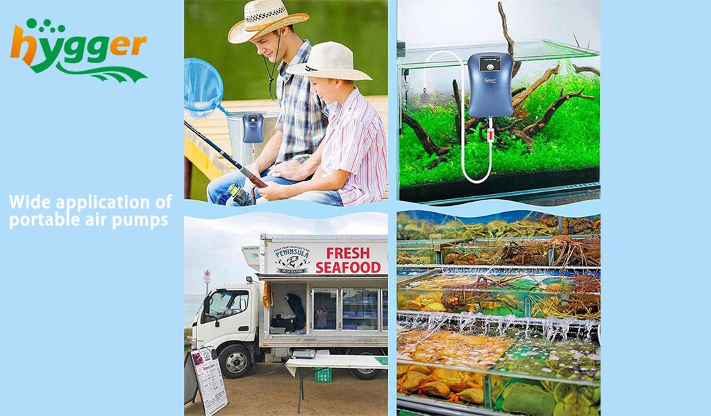 An application scenario or product detail of good air pump - Image 22