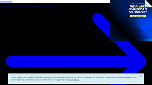 Lectric Bikes - Portable Electric Air Pump