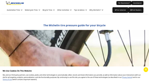 Michelin - Bicycle Tires & Accessories