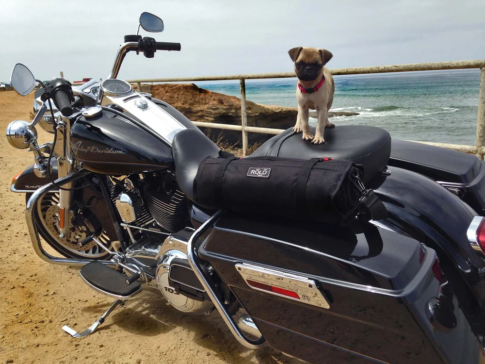 An application scenario or product detail of motorcycle luggage roll - Image 21