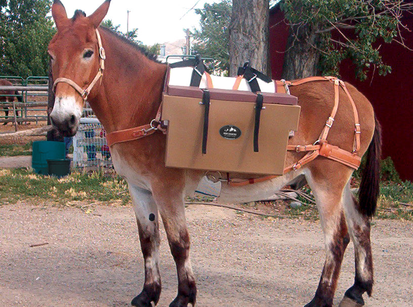 An application scenario or product detail of pannier box - Image 17