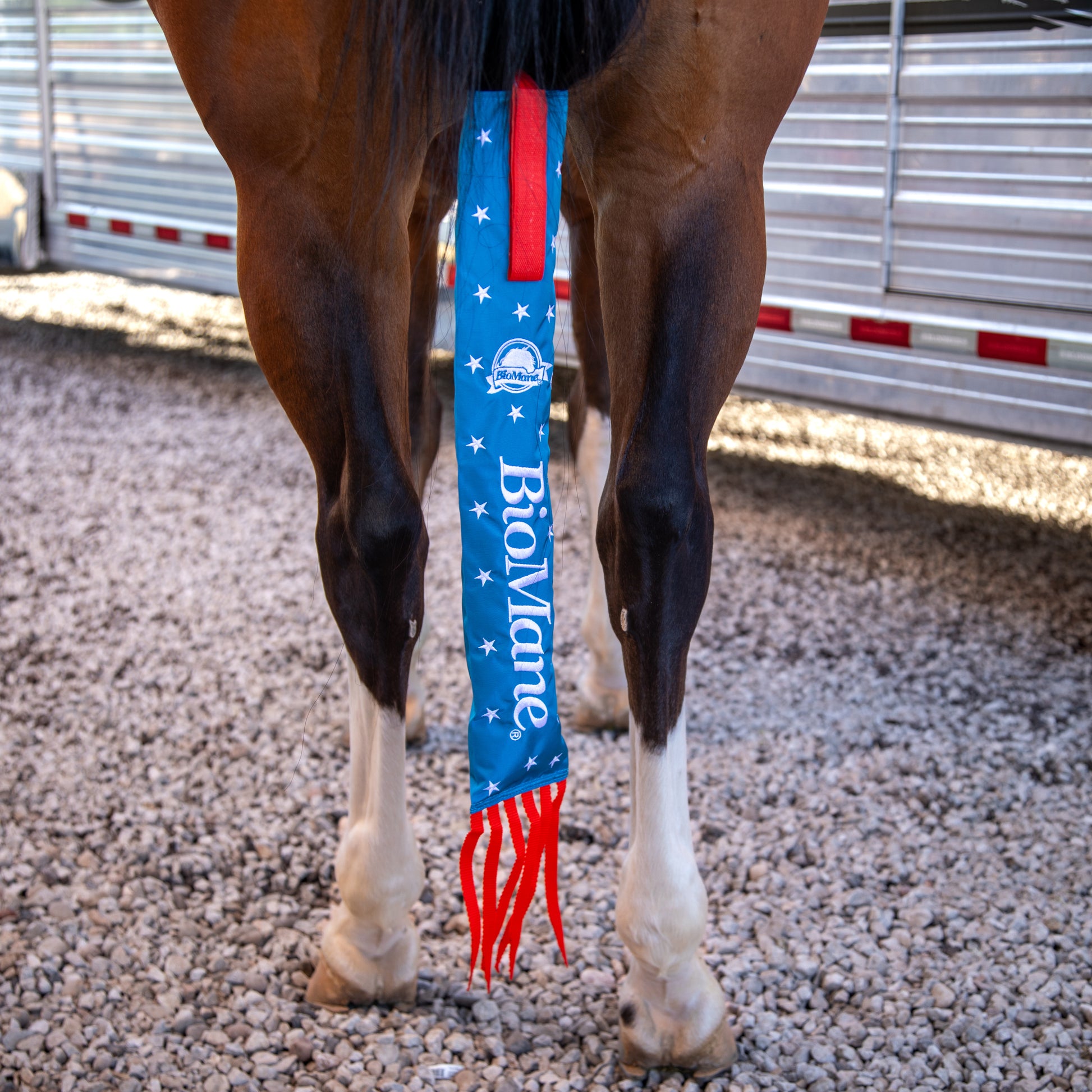 An application scenario or product detail of tail bags - Image 12