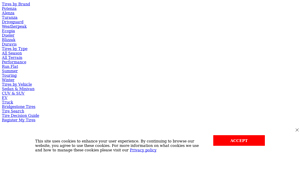 Bridgestone - Tire Pressure Monitoring System