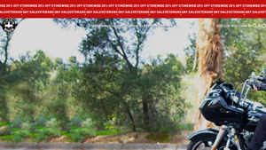 VikingBags - Premium Motorcycle Tail Bags